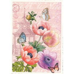 Poppy with Butterflies - Tausendschön - Postcard