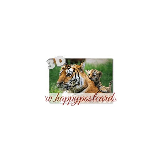 3D Tiger - Postcard