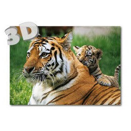 3D Tiger - Postkarte