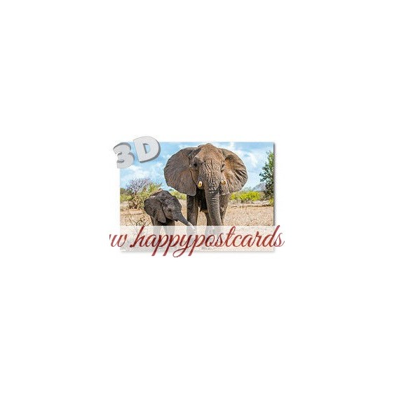 3D Elefanten - Postkarte