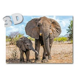 3D Elefanten - Postkarte