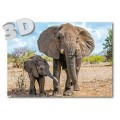3D Elephants - Postcard