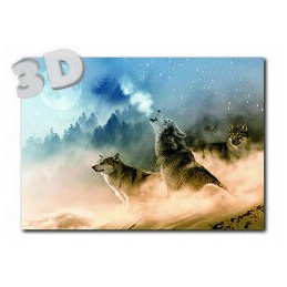 3D Wolves - Postcard