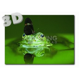 3D Frosch - Postkarte