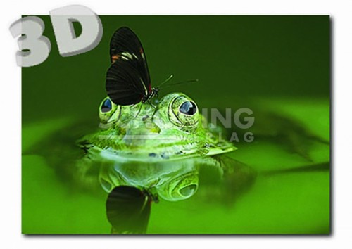 3D Frog - Postcard