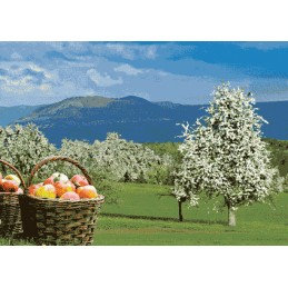 3D Swabian Alb - Appletrees - 3D Postcard
