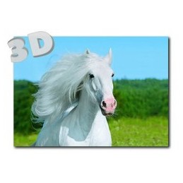 3D Pferd - Postkarte