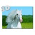 3D Horse - Postcard
