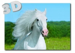 3D Pferd - Postkarte