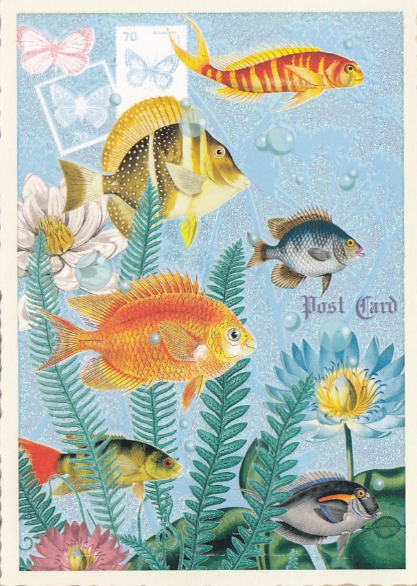 Fishes - Tausendschön - Postcard