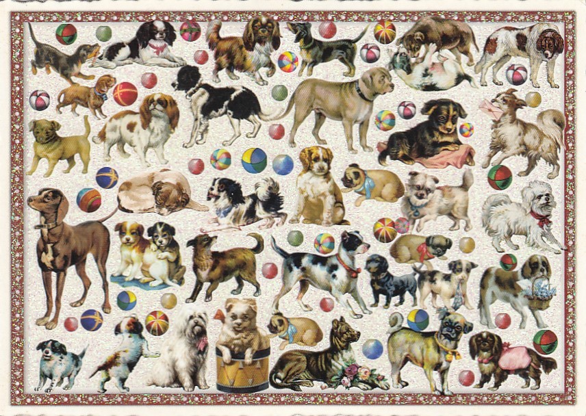 Hunde - Tausendschön - Postkarte