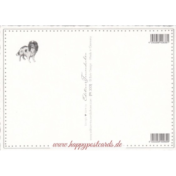 Dogs - Tausendschön - Postcard