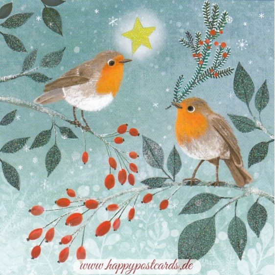 Two robins - Mila Marquis Postcard