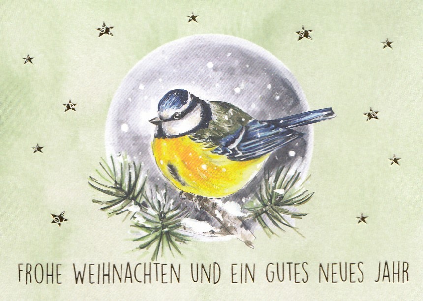 Frohe Weihnachten - Meise - Weihnachtskarte