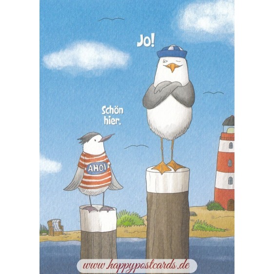 Schön hier - Seagull - Postcard
