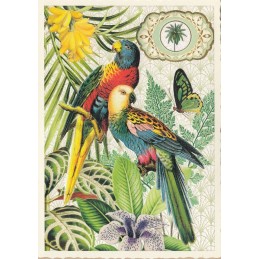 Papageien - Tausendschön - Postkarte