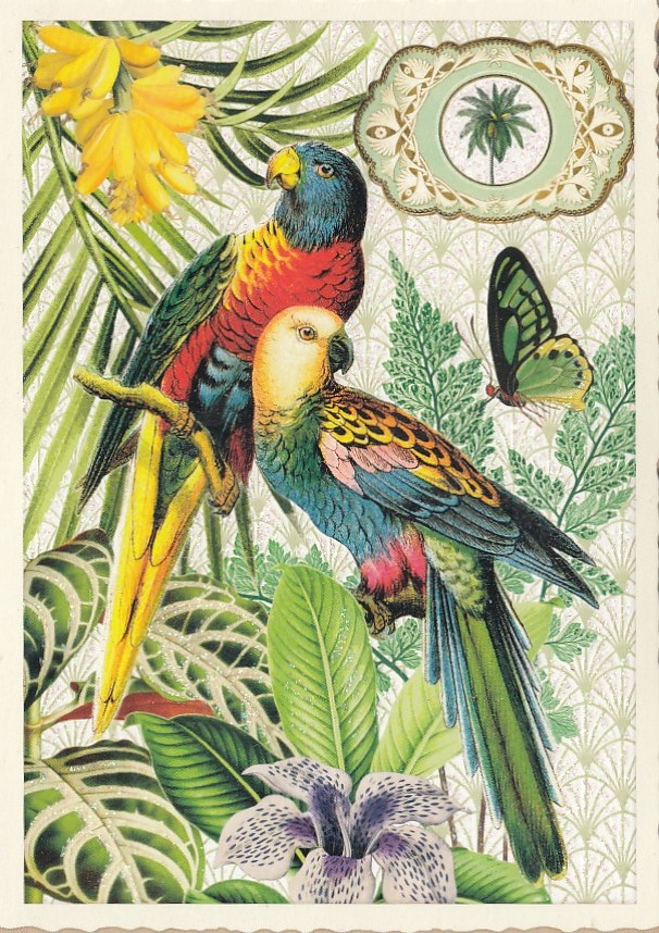 Papageien - Tausendschön - Postkarte