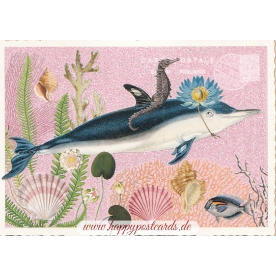 Marine Animals - Tausendschön - Postcard