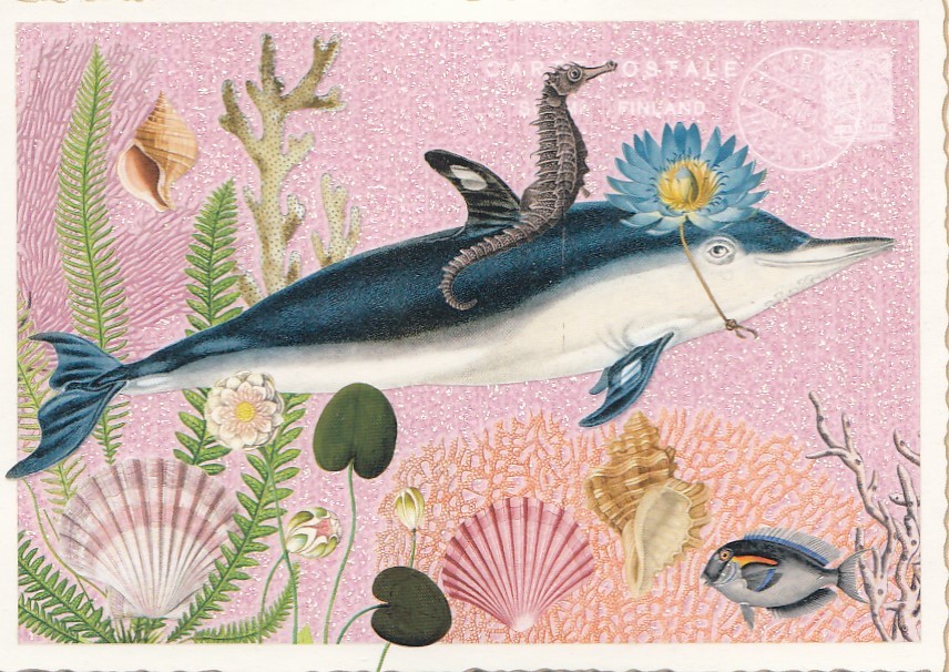 Meerestiere - Tausendschön - Postkarte