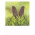 Bunny hiding in the grass - PolaCard
