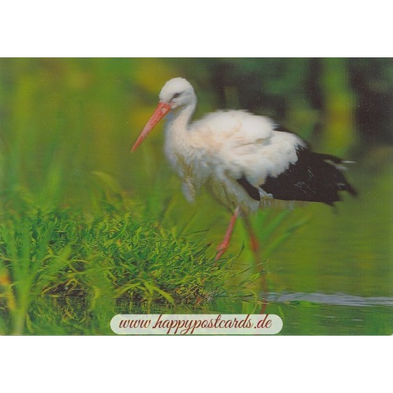 3D Stork - Postcard