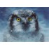 3D Owl - Postcard