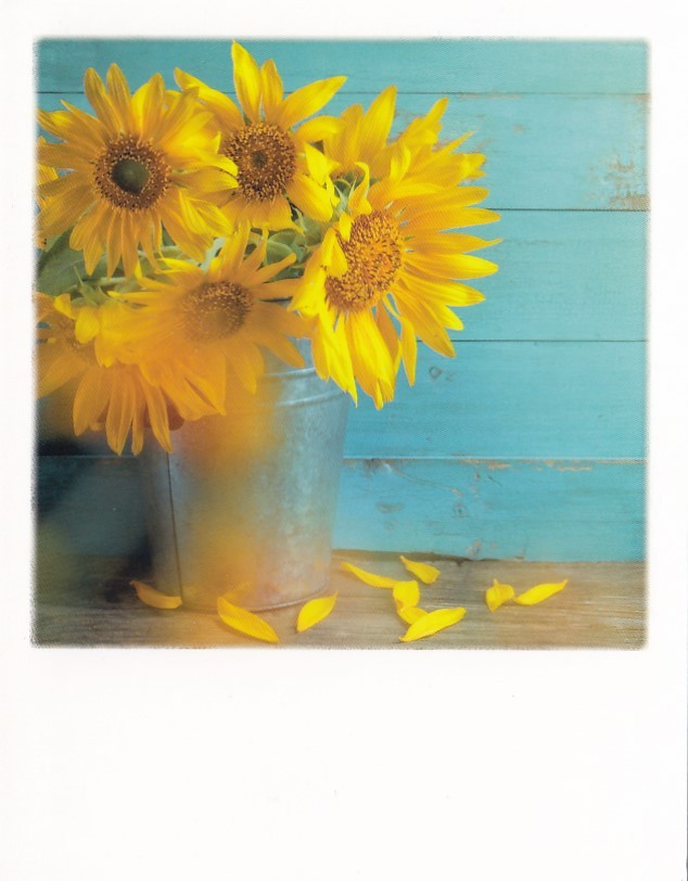 Sunflowers - PolaCard