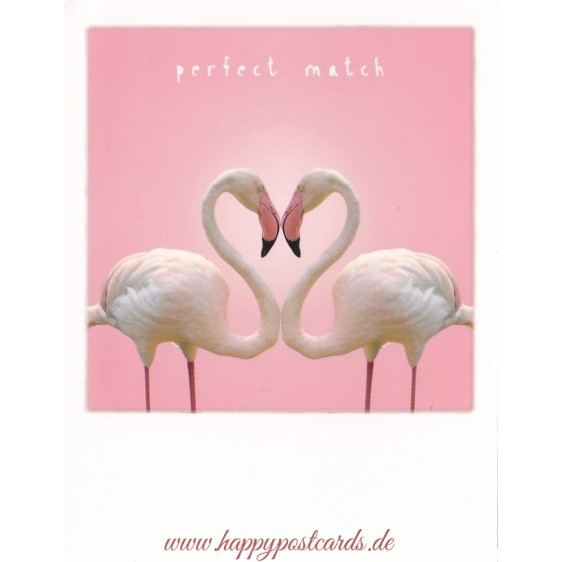 Flamingo-Herz  - PolaCard