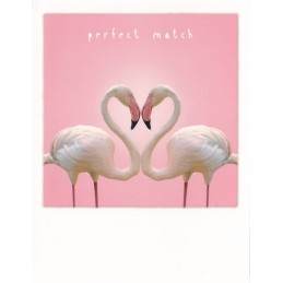 Flamingo-heart - PolaCard