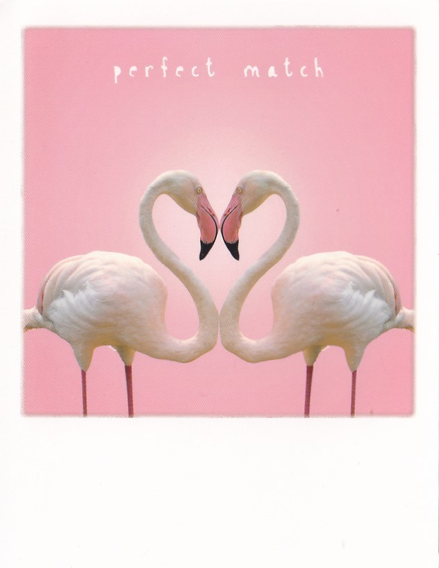 Flamingo-heart - PolaCard