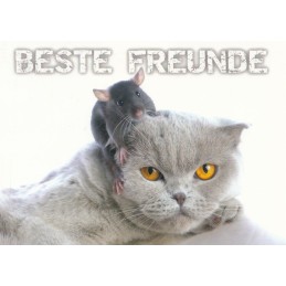 Cat - Beste Freunde - Viewcard