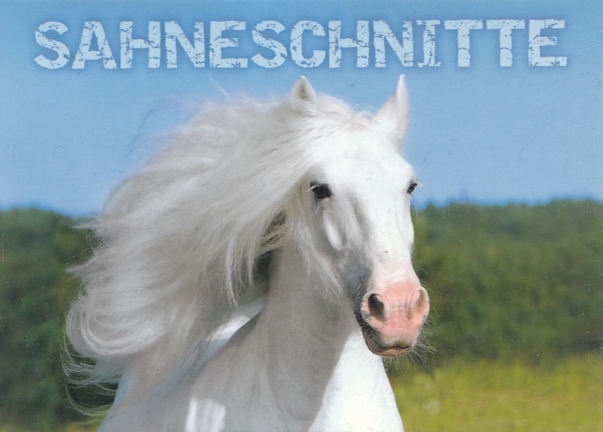 Horse - Sahneschnitte - Viewcard