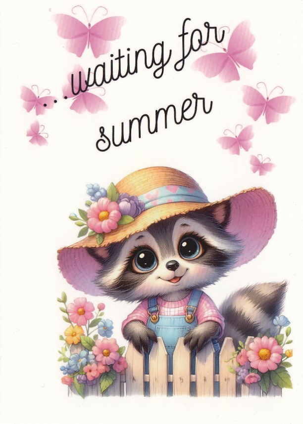 Raccoon - waiting for summer - Postcard