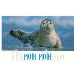 Moin Moin - Seehund - HotSpot-Card
