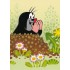 The Little Mole is looking out of his molehill - Krtek Postcard