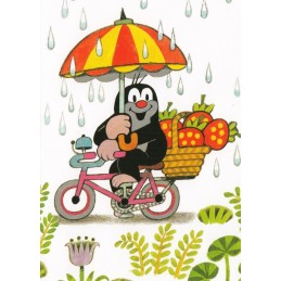 Der Maulwurf mit Fahrrad im Regen - Postkarte