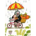 The Mole with a bike in the Rain - Postcard