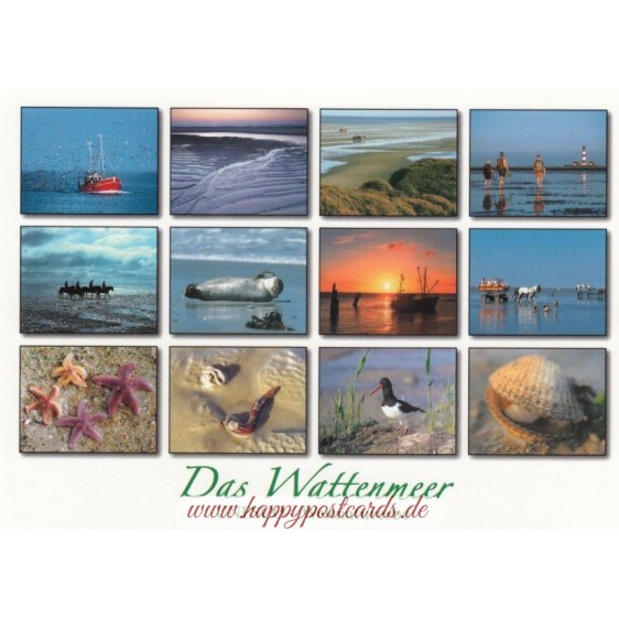 Wattenmeer 3 - Ansichtskarte