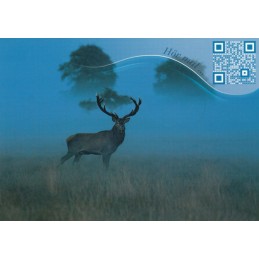Stag - Sound-Card