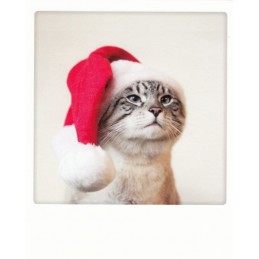 Christmas Cat - Pickmotion Postkarte