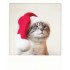 Christmas Cat - PolaCard