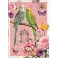 Wellensittiche - Postkarte