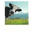 Cow - PolaCard