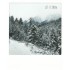 Let it snow - Pickmotion Postkarte