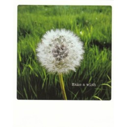 Make a wish - Pickmotion Postkarte