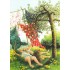 48 - Old Ladies lie on Gras - Postcard