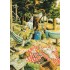 14 - Old Ladies in Hammocks - Postcard