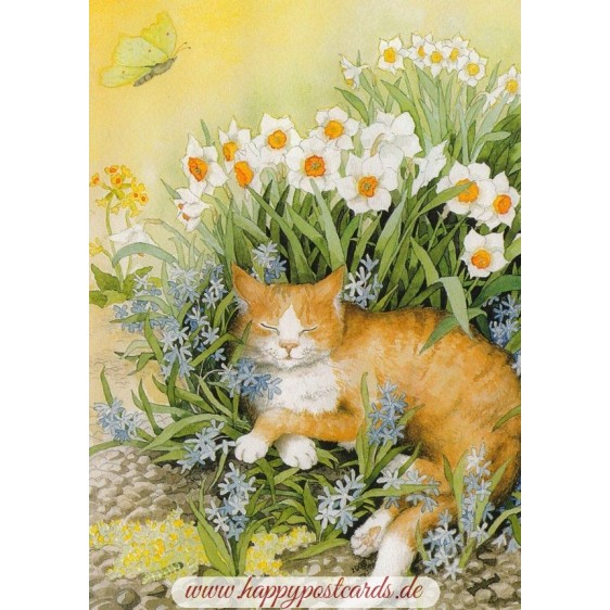 113 - Cat in Flowers - Postcard