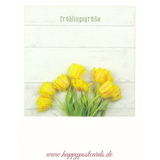 Frühlingsgrüße - PolaCard