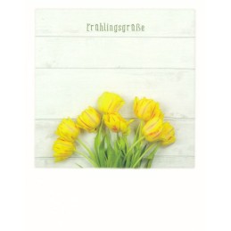 Frühlingsgrüße - PolaCard